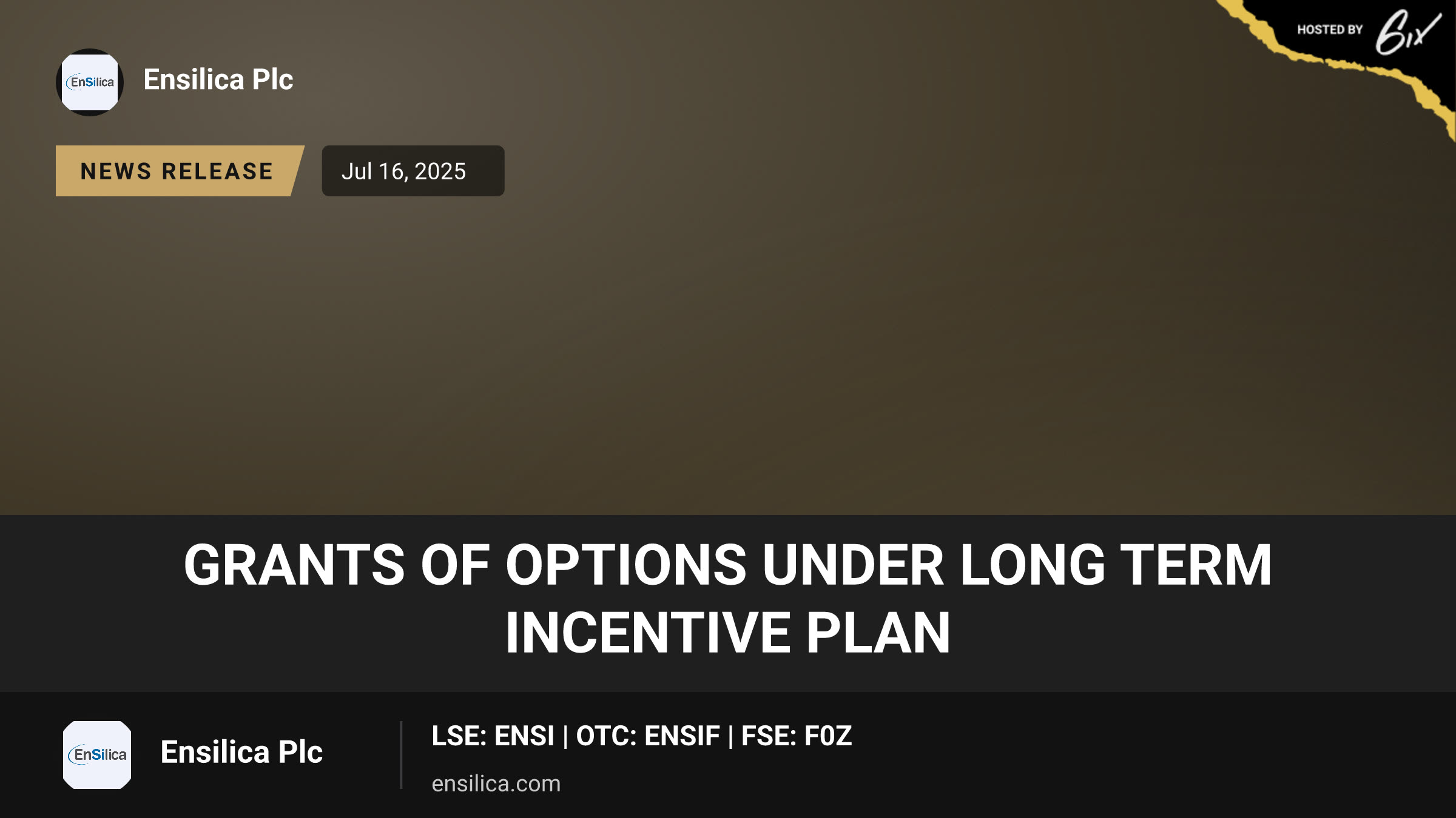 Grants of Options under Long Term Incentive Plan