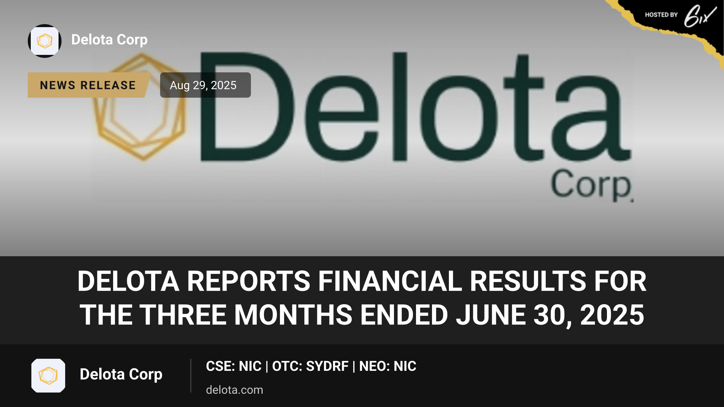 Delota Reports Financial Results for the Three Months Ended June 30, 2025