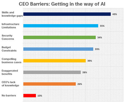 CEO Barriers