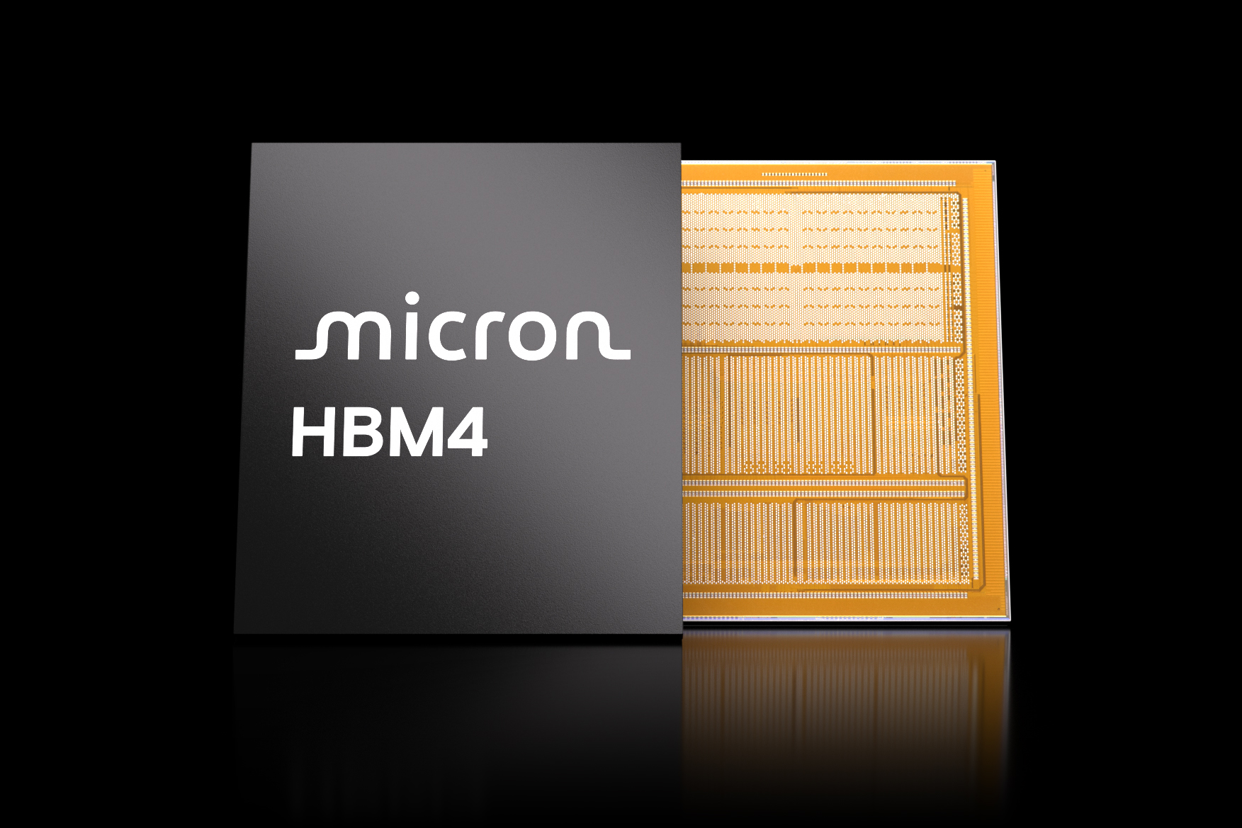 Micron HBM4 Product Images