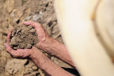 PepsiCo, in collaboration with the Alliance of Bioversity International and the International Center for Tropical Agriculture (CIAT), today announced a major update to the Climate Resilience Platform (“CRP” ), an open-access tool designed to help agricultural stakeholders plan for and mitigate the impacts of climate change.
