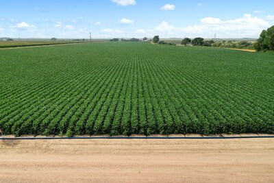 The PepsiCo Positive Agriculture Outcomes (PAO) Accelerator will now catalyze more than $30 million in investments to support nearly 40 agricultural projects through 2028.