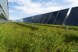 Lowest Carbon Solar