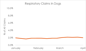 Charts indicate no significant changes in respiratory claims, as a percentage of all claims, over the last 3 months