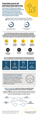 Dogs may be man's best friend, but they aren't always a safe driving companion. A recent poll commissioned by Selective Insurance, a leading business, home, and auto insurance carrier, found that dogs frequently cause distracted driving on US roadways.