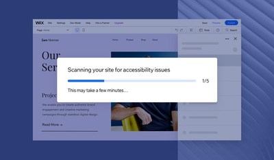 The Accessibility Wizard scans the site for detectable accessibility issues.