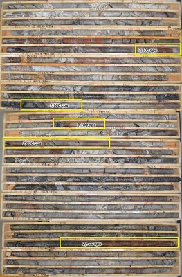 Figure 3: Elevated radioactivity from RK-24-193 with maximum values shown for mineralized veins outlined in yellow. Replacement style mineralization is similar to the discovery hole, RK-24-183, with a notable upgrade of alteration intensity that included m-scale dravitic breccia. (CNW Group/NexGen Energy Ltd.)