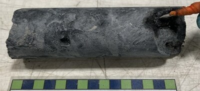 Figure 5: Semi-massive, primary uranium mineralization at 348.5 m, maximum peak of 47,200 cps as shown (CNW Group/NexGen Energy Ltd.)