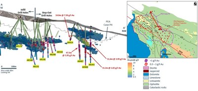 Figure 3: Section showcasing highlight step-out intercepts below the PEA case pit. (CNW Group/SSR Mining Inc.)