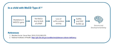 Understanding MoCD Type A