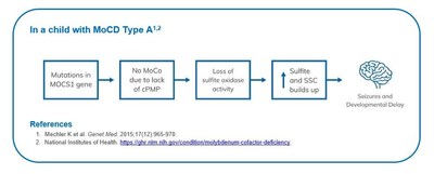 Understanding MoCD Type A