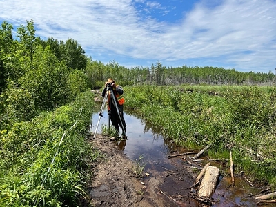 Project team member conducting a field study for the Waasigan Transmission Line project (CNW Group/Hydro One Inc.)