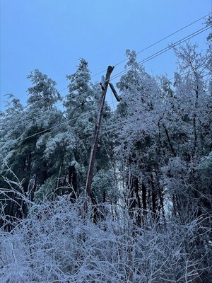 Broken Hydro pole due to freezing rain accretion (CNW Group/Hydro One Inc.)