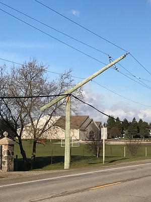 Winds over 100 km/h resulted in broken poles, downed power lines and fallen trees on lines (CNW Group/Hydro One Inc.)