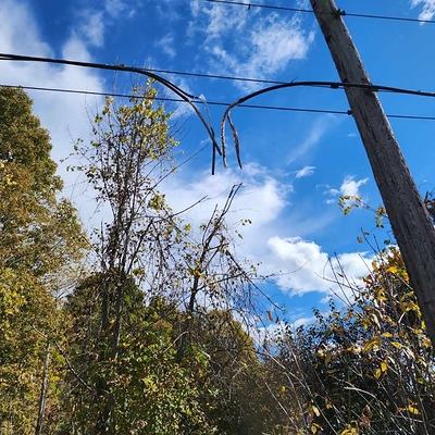 Damaged copper wire (CNW Group/Bell Canada (MTL))