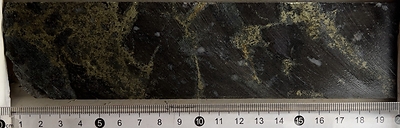 Figure 1: Cu-Au mineralization on drill hole DDH2505T026 (103.00m depth). (CNW Group/Bravo Mining Corp.)