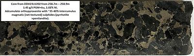Figure 1: Core Photo DDH23LU202, magmatic nickel sulphide mineralization  - North Sector. (CNW Group/Bravo Mining Corp.)