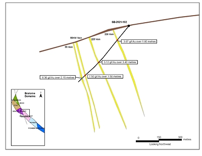 Figure 3: SBP-2021-102 cross section with vein intersections and grade. (CNW Group/Talisker Resources Ltd)