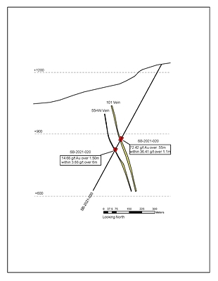 Figure 1: Cross section showing Hole SB-2021-020 with mineralized vein intercepts. (CNW Group/Talisker Resources Ltd)