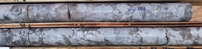 Figure 5: Large spodumene crystals in drill hole CV25-875 at ~32 m depth (core length) at the CV12 Pegmatite. Core graded 2.9 m at 2.70% Li2O over sample interval (30.1 m to 33.0 m). (CNW Group/PMET Resources Inc.)