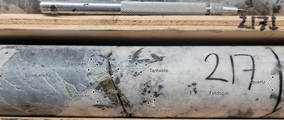 Figure 2: Very coarse-grained tantalite crystals at ~217 m depth in drill hole CV23-109 at the CV5 Pegmatite. Core grades 1,688 ppm Ta2O5 over 0.5 m (216.5 m to 217.0 m). (CNW Group/Patriot Battery Metals Inc.)