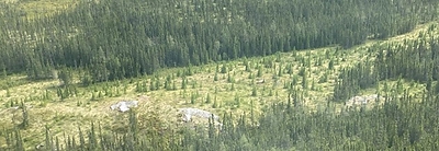 Figure 33: Spodumene pegmatite outcrop at CV13 (looking southerly). (CNW Group/Patriot Battery Metals Inc.)
