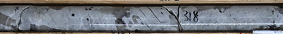 Figure 4: Large spodumene crystals with minor mafic inclusions in quartz pegmatite, drill hole CV24-401A at 318 m depth in Nova Zone at CV5. (CNW Group/Patriot Battery Metals Inc)