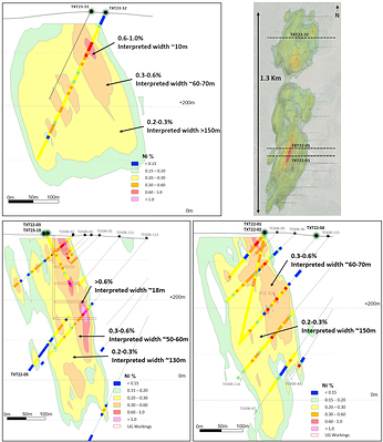 Figure 3. Cross Sections (25m clipping) *Drillhole assays composited at 6m lengths (CNW Group/Canada Nickel Company Inc.)