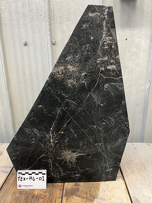 Figure 2 – Texmont High grade grab sample (CNW Group/Canada Nickel Company Inc.)