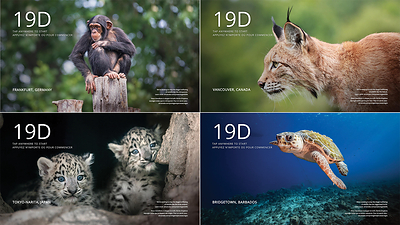 Air Canada and Jane Goodall Institute of Canada Spotlight Illegal Wildlife Trade and Biodiversity Challenges (CNW Group/Air Canada)