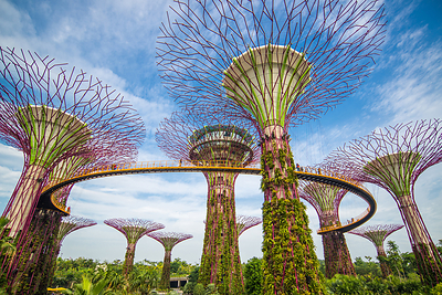 Air Canada today announced the strategic expansion of its international network with the addition of non-stop flights between its trans-Pacific hub at Vancouver International Airport (YVR) and Singapore’s Changi International Airport (SIN). (CNW Group/Air Canada)