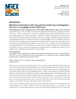 NGEx Minerals Drills 90m at 4.05% CuEq and 21m at 8.09% CuEq, Confirming Major Discovery at the Lunahuasi (ex-Potro Cliffs) Project (CNW Group/NGEx Minerals Ltd.)