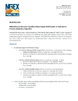 NGEx Minerals Discovers Significant New Copper-Gold System at Valle Ancho Project, Catamarca, Argentina (CNW Group/NGEx Minerals Ltd.)
