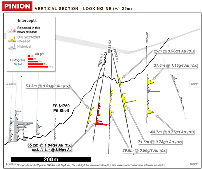 Figure 6: Pinion vertical cross section, looking northeast (CNW Group/Orla Mining Ltd.)