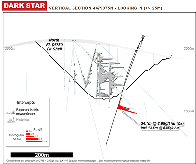 Figure 5: Cross section along DSC24-02, looking north. (CNW Group/Orla Mining Ltd.)