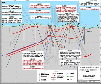 Figure 2. Schematic Longitudinal Section (CNW Group/Mako Mining Corp.)