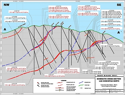 Figure 2 – Cross Section (CNW Group/Mako Mining Corp.)