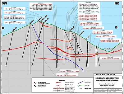 Figure 3 – Longitudinal Section (CNW Group/Mako Mining Corp.)