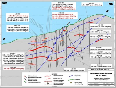 Figure 2. Schematic Longitudinal Section (CNW Group/Mako Mining Corp.)