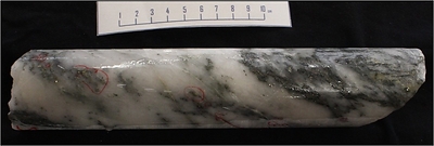 21RDD024 – At 84.52m: 238.80 g/t Au; Quartz-carbonate vein with pyrite and visible gold (circled in red) (CNW Group/Kenorland Minerals Ltd.)