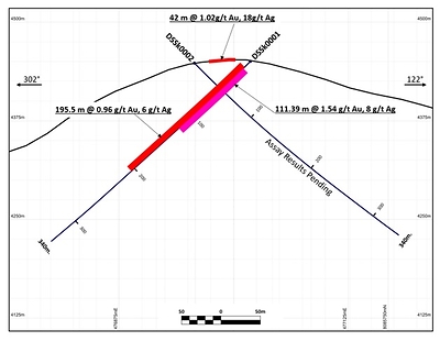 Figure 2. Drill cross section of hole DSSk0001 (CNW Group/New Pacific Metals Corp.)
