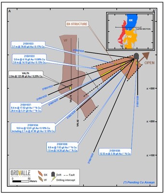 Figure 2. East Breccia (BX) Section (CNW Group/Orvana Minerals Corp.)