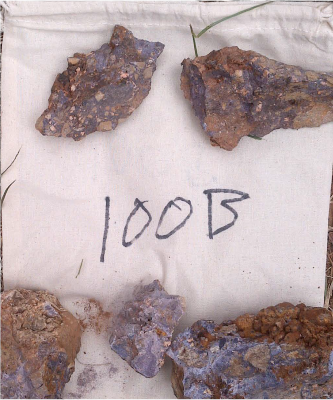 Figure 1 – Company’s Gallinas 2025 Breccia Sampling Program (CNW Group/Black Mammoth Metals Corp)