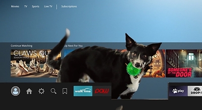 Pet Valu's "Playtime" Campaign (CNW Group/Pet Valu Canada Inc.)