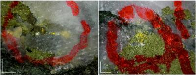 Figure 2:  Examples of visible gold from late-stage high-grade veins in new trend : Left: CD-063; Sample CBDS07393 (131.0- 131.35m, 22.9 g/t Au, 0.7% Cu, 3.3 g/t Ag). Right : CD-038 : Sample CBDS04778 (96.55 – 97.0m, 10.3g/t Au, 3.2% Cu, 12.6g/t Ag) (CNW Group/Meridian Mining UK Societas)