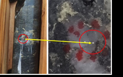 Figure 2.CD-065’s visible gold grain, circled (left), associated with steeply dipping structure. Right is a magnified view of the visible gold from CD-065. (CNW Group/Meridian Mining S.E.)