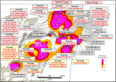 Figure 5: Long Section (Looking East)-Expanded view from AA’ of SAM SE and Shore Targets (CNW Group/1911 Gold Corporation)