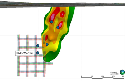 Figure 3 - Lion Area long-section with drill holes but no assays (CNW Group/Power Metallic Mines Inc.)