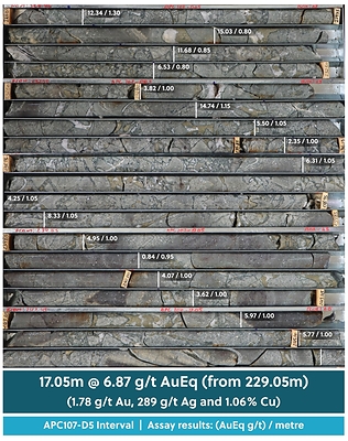 Figure 3: Drill Core Tray Photo Highlighting a Section of Drill Hole APC107-D5 (CNW Group/Collective Mining Ltd.)