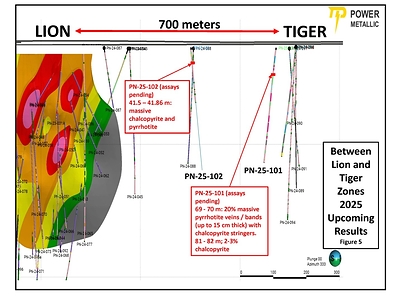 Figure 5 – The area between Lion and Tiger (700m of strike) with recent drill intersections (assays pending). (CNW Group/Power Metallic Mines Inc.)